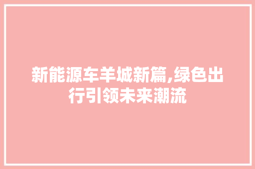 新能源车羊城新篇,绿色出行引领未来潮流 车载导航