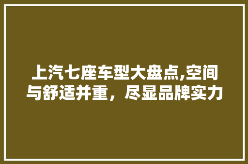 上汽七座车型大盘点,空间与舒适并重，尽显品牌实力