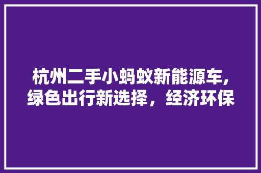 杭州二手小蚂蚁新能源车,绿色出行新选择，经济环保两不误