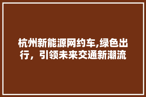 杭州新能源网约车,绿色出行，引领未来交通新潮流