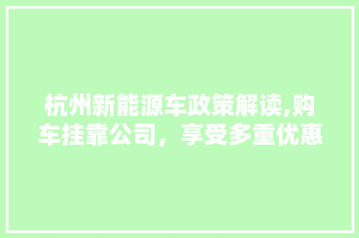 杭州新能源车政策解读,购车挂靠公司，享受多重优惠