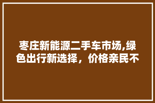 枣庄新能源二手车市场,绿色出行新选择，价格亲民不容错过
