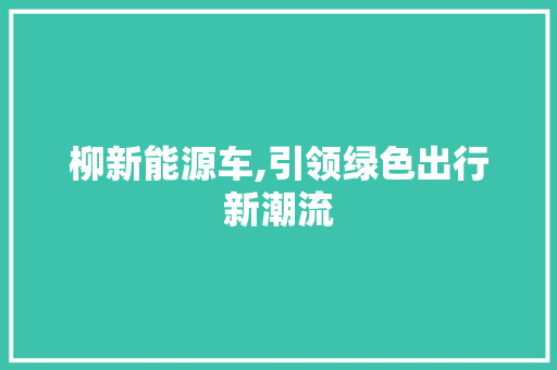 柳新能源车,引领绿色出行新潮流
