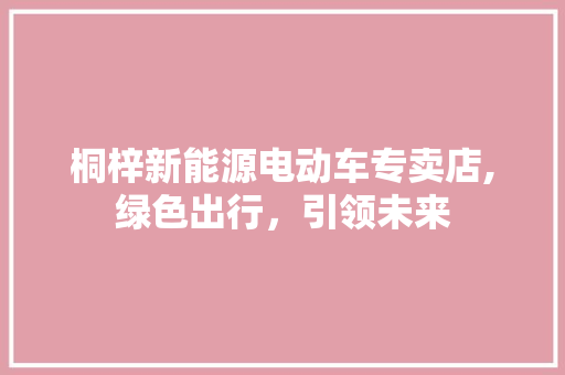 桐梓新能源电动车专卖店,绿色出行，引领未来