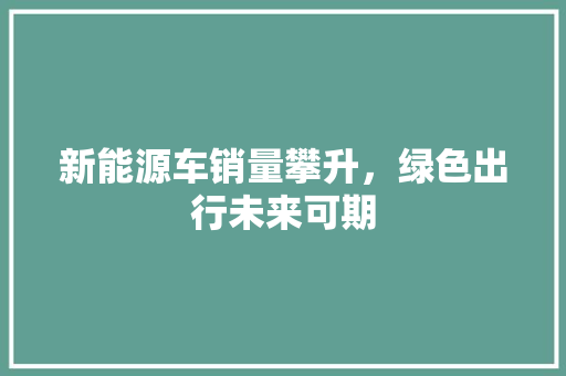 新能源车销量攀升，绿色出行未来可期