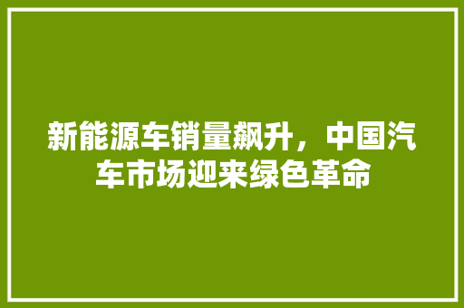 新能源车销量飙升，中国汽车市场迎来绿色革命