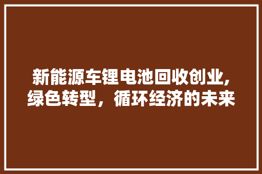 新能源车锂电池回收创业,绿色转型，循环经济的未来之路