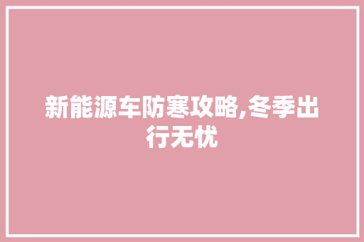 新能源车防寒攻略,冬季出行无忧 汽车展览