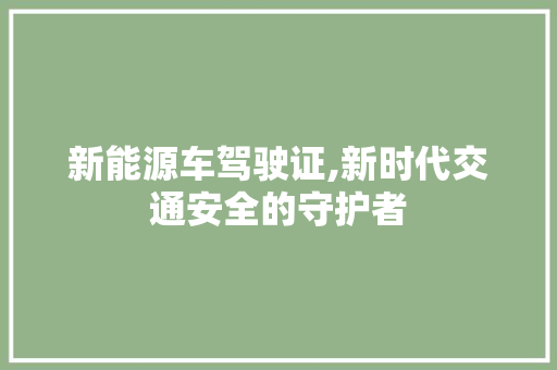 新能源车驾驶证,新时代交通安全的守护者