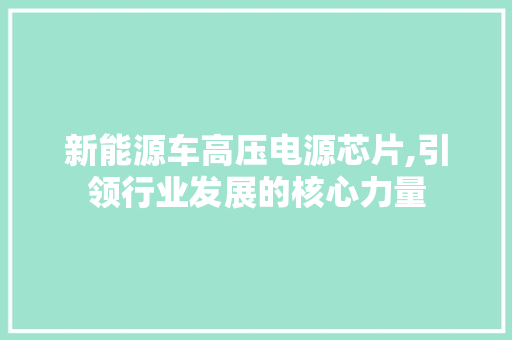 新能源车高压电源芯片,引领行业发展的核心力量