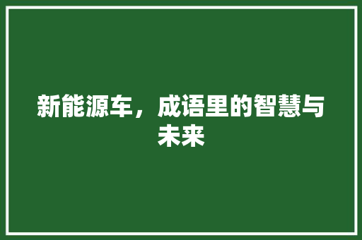 新能源车，成语里的智慧与未来 智能驾驶