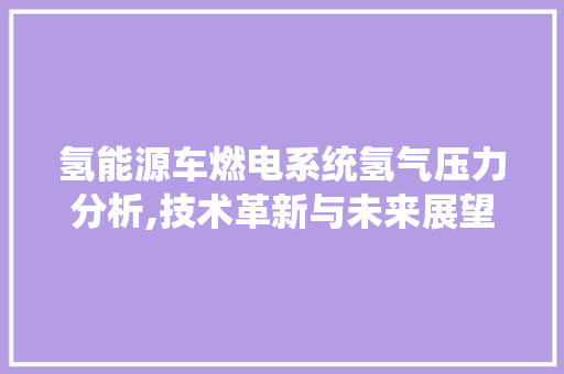 氢能源车燃电系统氢气压力分析,技术革新与未来展望