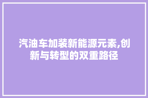 汽油车加装新能源元素,创新与转型的双重路径