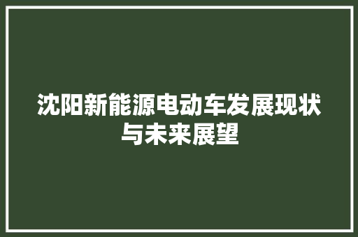 沈阳新能源电动车发展现状与未来展望