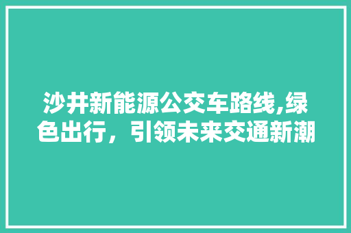 沙井新能源公交车路线,绿色出行，引领未来交通新潮流