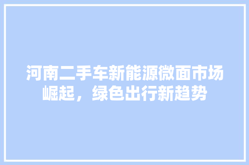 河南二手车新能源微面市场崛起，绿色出行新趋势