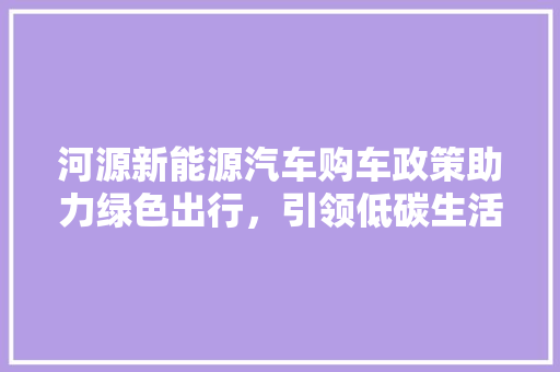 河源新能源汽车购车政策助力绿色出行，引领低碳生活新风尚