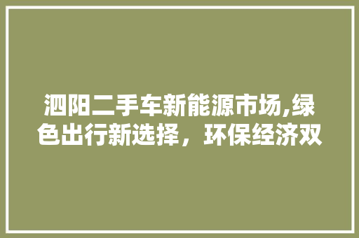 泗阳二手车新能源市场,绿色出行新选择，环保经济双赢