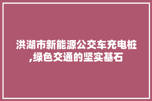 洪湖市新能源公交车充电桩,绿色交通的坚实基石 汽车配件
