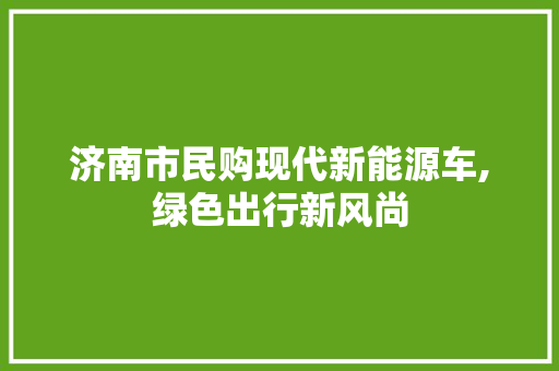 济南市民购现代新能源车,绿色出行新风尚