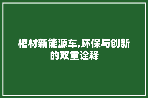 棺材新能源车,环保与创新的双重诠释