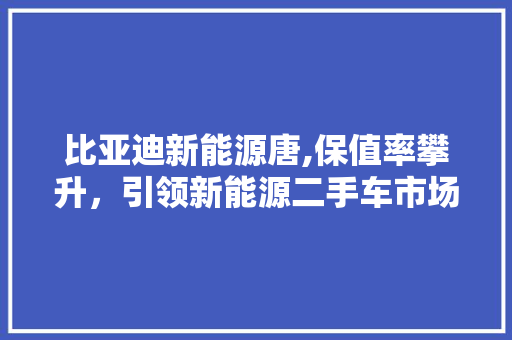 比亚迪新能源唐,保值率攀升，引领新能源二手车市场新潮流 汽车轮胎