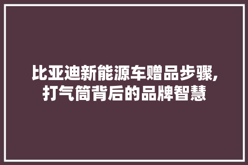 比亚迪新能源车赠品步骤,打气筒背后的品牌智慧