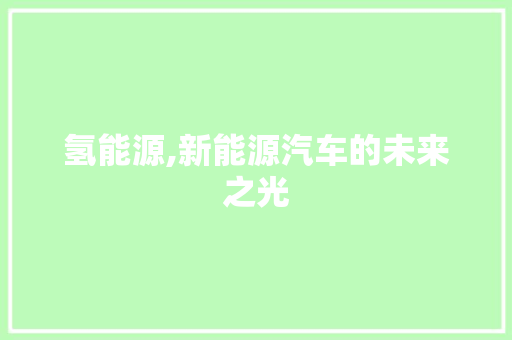 氢能源,新能源汽车的未来之光