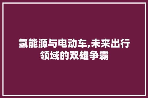 氢能源与电动车,未来出行领域的双雄争霸 车型评测