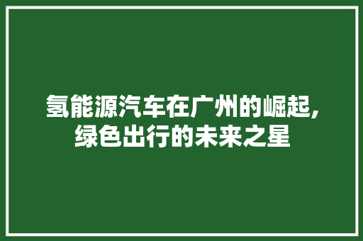 氢能源汽车在广州的崛起,绿色出行的未来之星