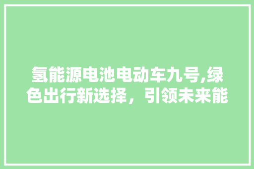 氢能源电池电动车九号,绿色出行新选择，引领未来能源革命