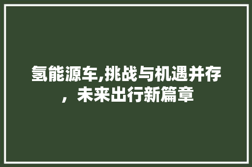 氢能源车,挑战与机遇并存，未来出行新篇章