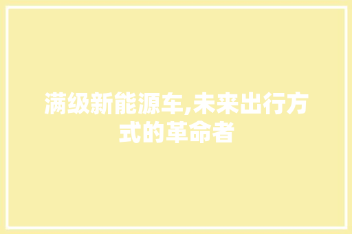满级新能源车,未来出行方式的革命者 自动驾驶