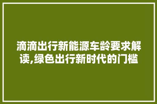 滴滴出行新能源车龄要求解读,绿色出行新时代的门槛与机遇