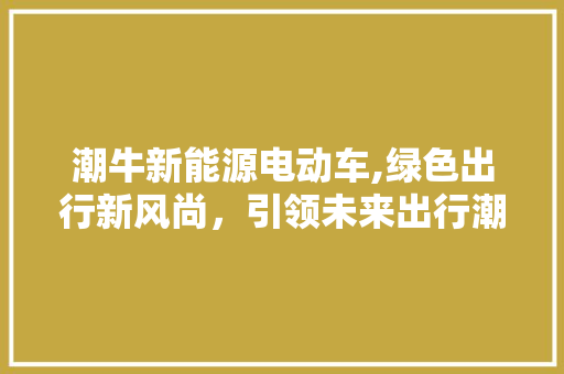 潮牛新能源电动车,绿色出行新风尚，引领未来出行潮流