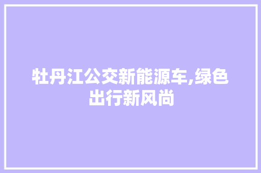 牡丹江公交新能源车,绿色出行新风尚