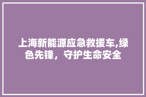 上海新能源应急救援车,绿色先锋，守护生命安全