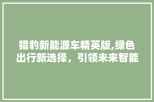 猎豹新能源车精英版,绿色出行新选择，引领未来智能出行潮流
