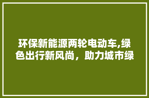 环保新能源两轮电动车,绿色出行新风尚，助力城市绿色发展 汽车配件