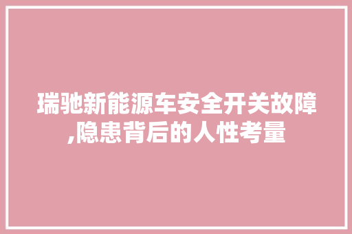瑞驰新能源车安全开关故障,隐患背后的人性考量