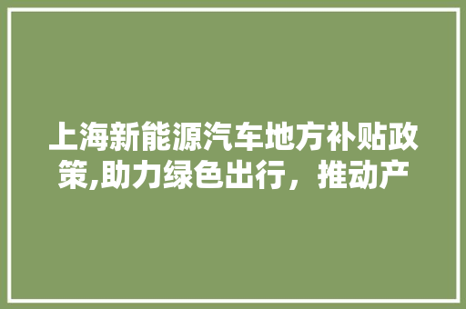 上海新能源汽车地方补贴政策,助力绿色出行，推动产业升级