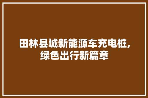 田林县城新能源车充电桩,绿色出行新篇章 新车资讯