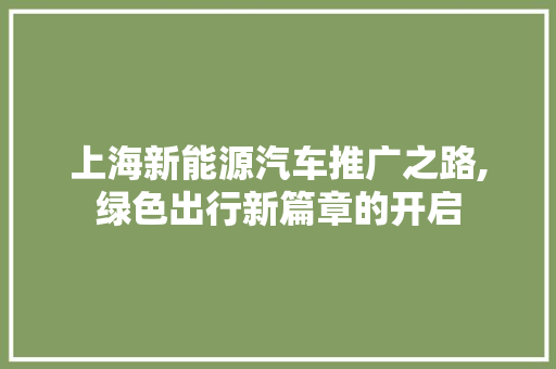 上海新能源汽车推广之路,绿色出行新篇章的开启