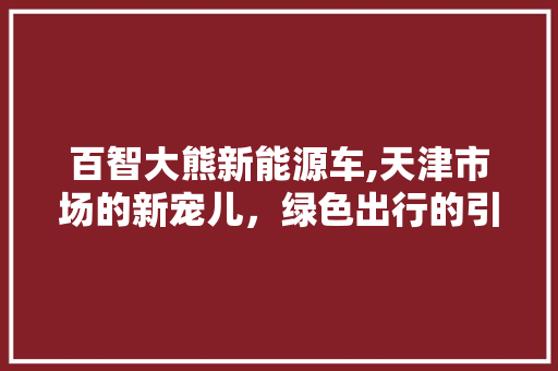 百智大熊新能源车,天津市场的新宠儿，绿色出行的引领者