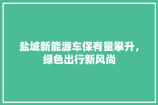 盐城新能源车保有量攀升，绿色出行新风尚