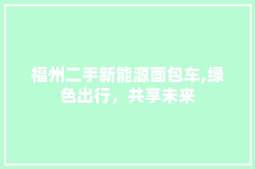 福州二手新能源面包车,绿色出行，共享未来