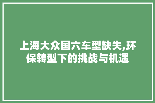 上海大众国六车型缺失,环保转型下的挑战与机遇