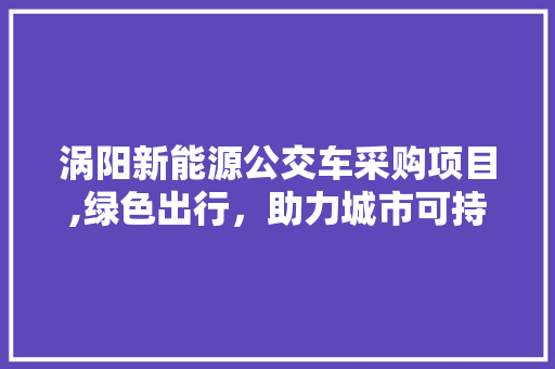 涡阳新能源公交车采购项目,绿色出行，助力城市可持续发展 新车资讯