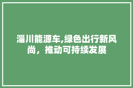 淄川能源车,绿色出行新风尚，推动可持续发展 汽车保养