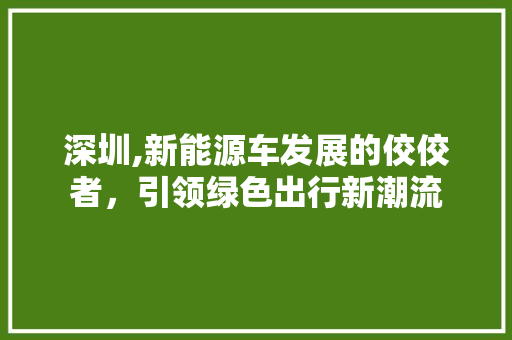 深圳,新能源车发展的佼佼者，引领绿色出行新潮流